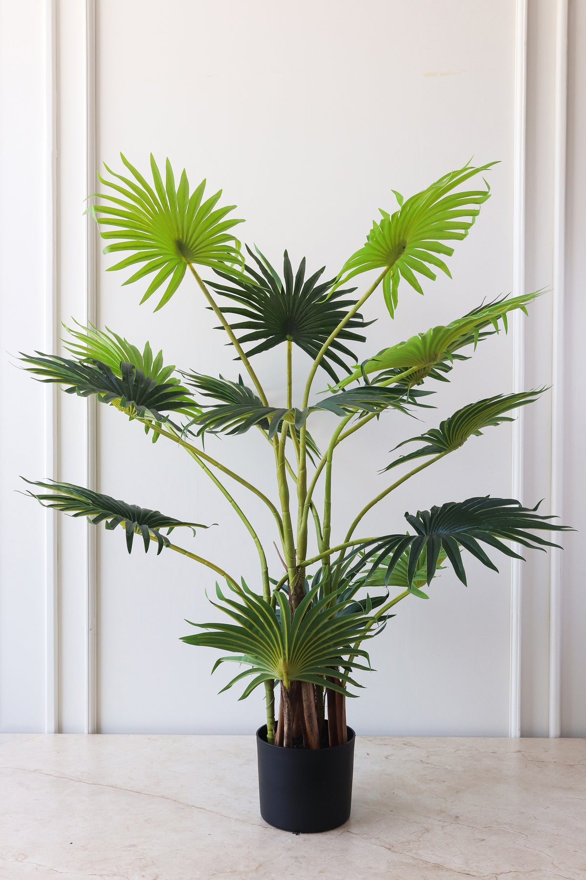 Plantas y ramas