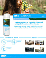 Aerosol profesional neutralizador de olores aire limpio aroma Alpino para baños, oficinas y restaurantes 220 gr — imagen de producto