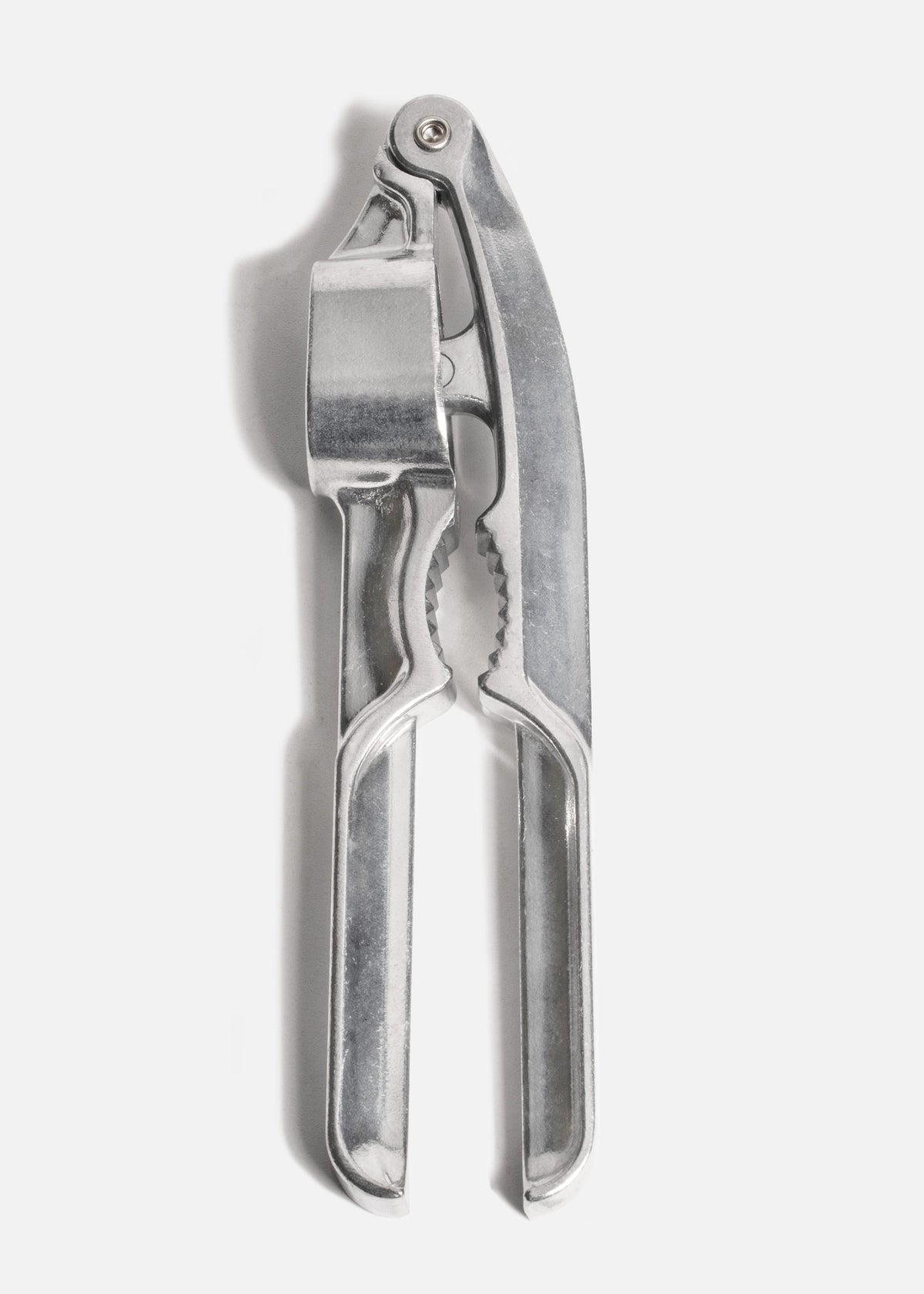 Exprimidor de ajos de acero inoxidable plata. Profesional 18 cm — imagen de producto