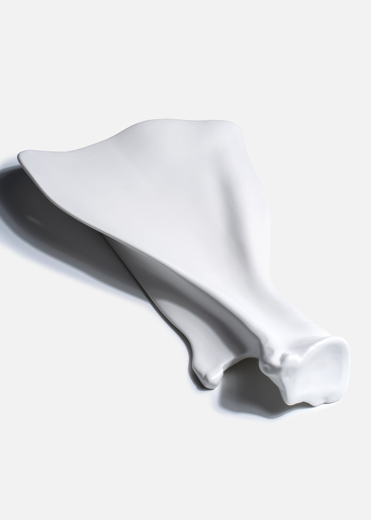 Platos de porcelana blanco para presentar alimentos — imagen de producto