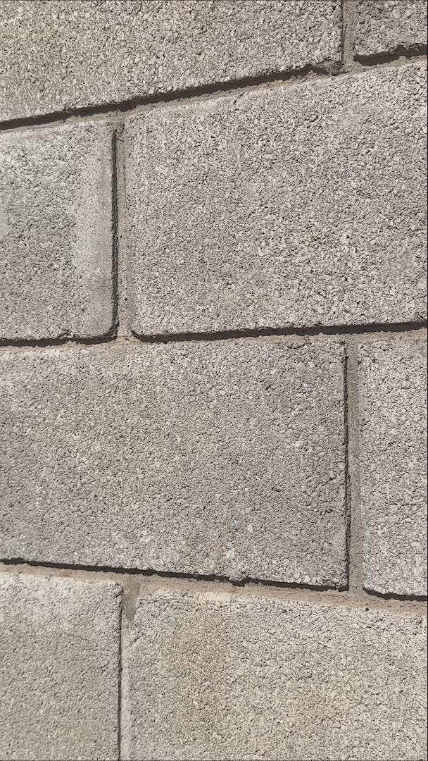 Copa flauta para champaña de vidrio transparente Kronoz 230 ml — video de producto