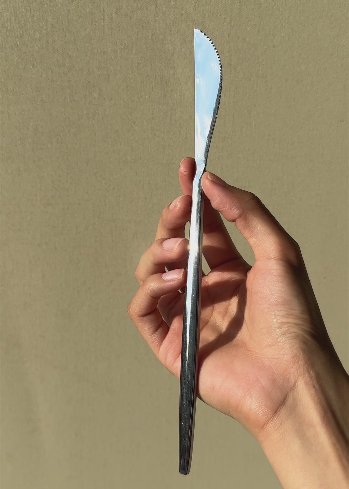 Cargar vídeo: Cuchillo para mesa de acero inoxidable plata Atenas 22.5 cm — video de producto