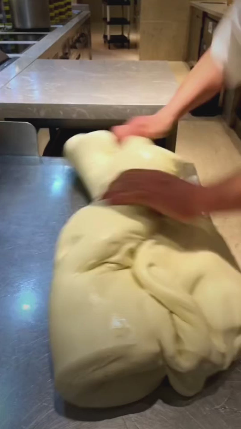 Amasadora doble acción giratoria de acero inoxidable 21 L volumen 8 kg capacidad — video de producto