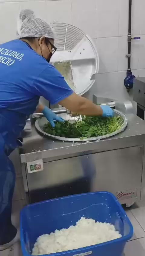Cargar vídeo: Procesadora de alimentos de acero inoxidable plata 10 kg — video de producto