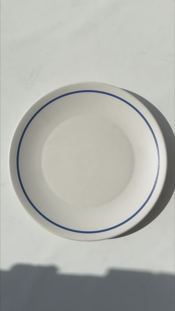 Video del plato trinche Regina Alaska blanco filo azul Ø 28 cm