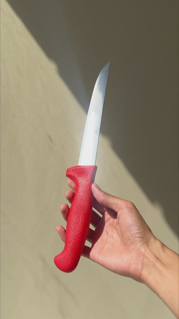 Cargar vídeo: Cuchillo para deshuesar recto profesional de acero inoxidable con mango antideslizante rojo, verde, blanco, negro, amarillo y azul  6". Premium — video de producto