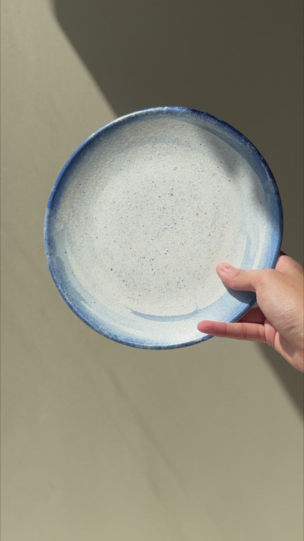 Cargar vídeo: Video del plato trinche de porcelana Harena azul y blanco de 21 cm